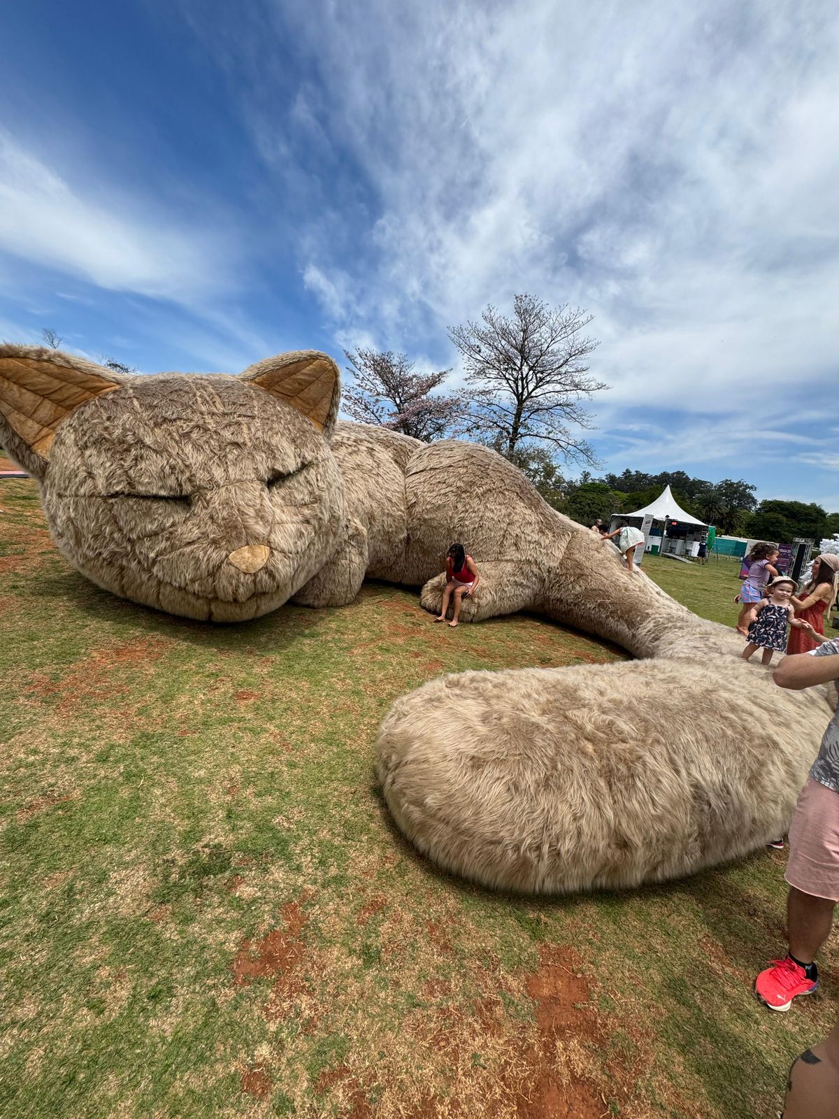 Cobasi promove arte urbana e adoção de pets em ação gratuita próxima ao Monumento às Bandeiras