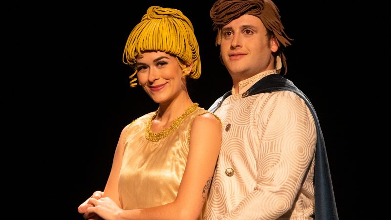 Os ingressos são válidos para última apresentação de Cinderela (26/04) desta temporada no Teatro UOL.